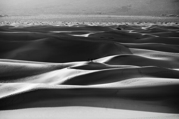 Schwarze und weiße Sanddünen am Strand