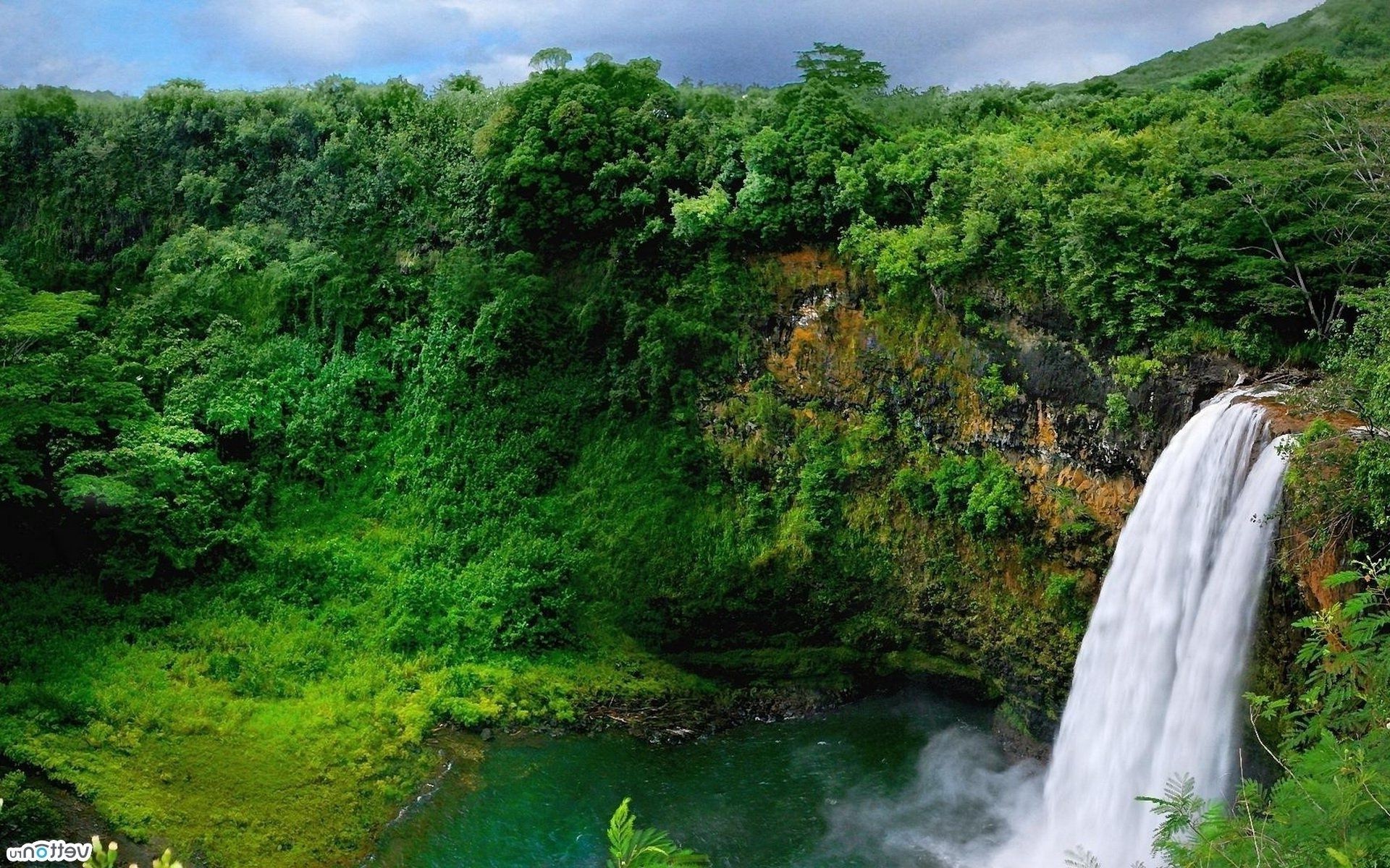 cascades eau cascade rivière paysage nature bois flux voyage bois forêt tropicale à l extérieur montagnes rock tropical scénique été cascade jungle feuille