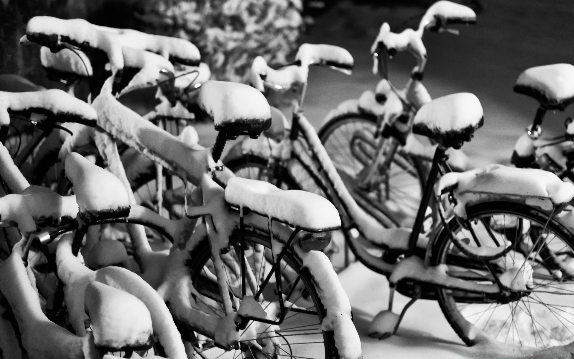 blanco y negro grupo muchos adulto hombre coche sistema de transporte recreación mujer solo calle multitud atuendo múltiples biker