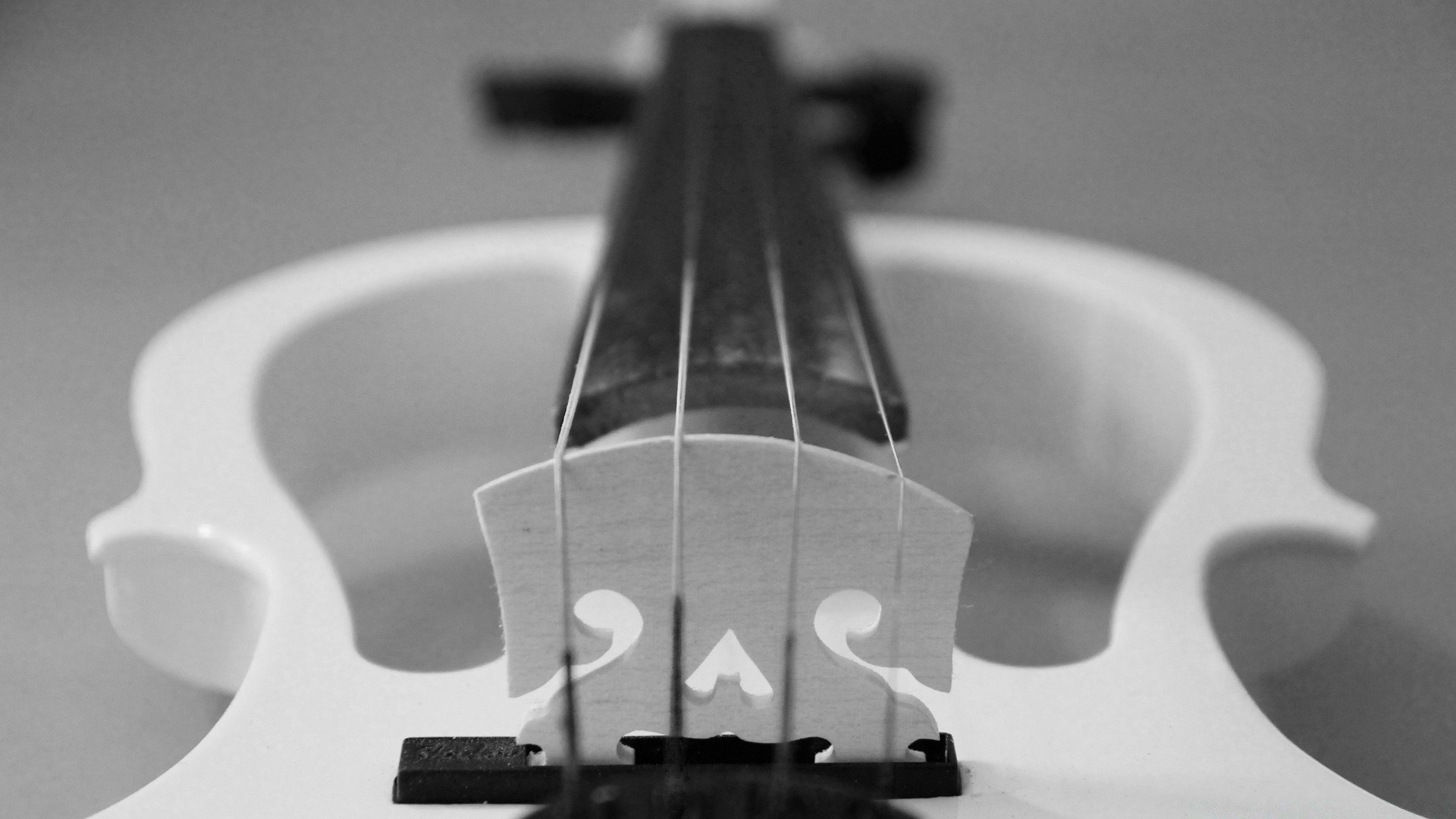 blanco y negro instrumento madera naturaleza muerta guitarra monocromo precisión hardware conceptual