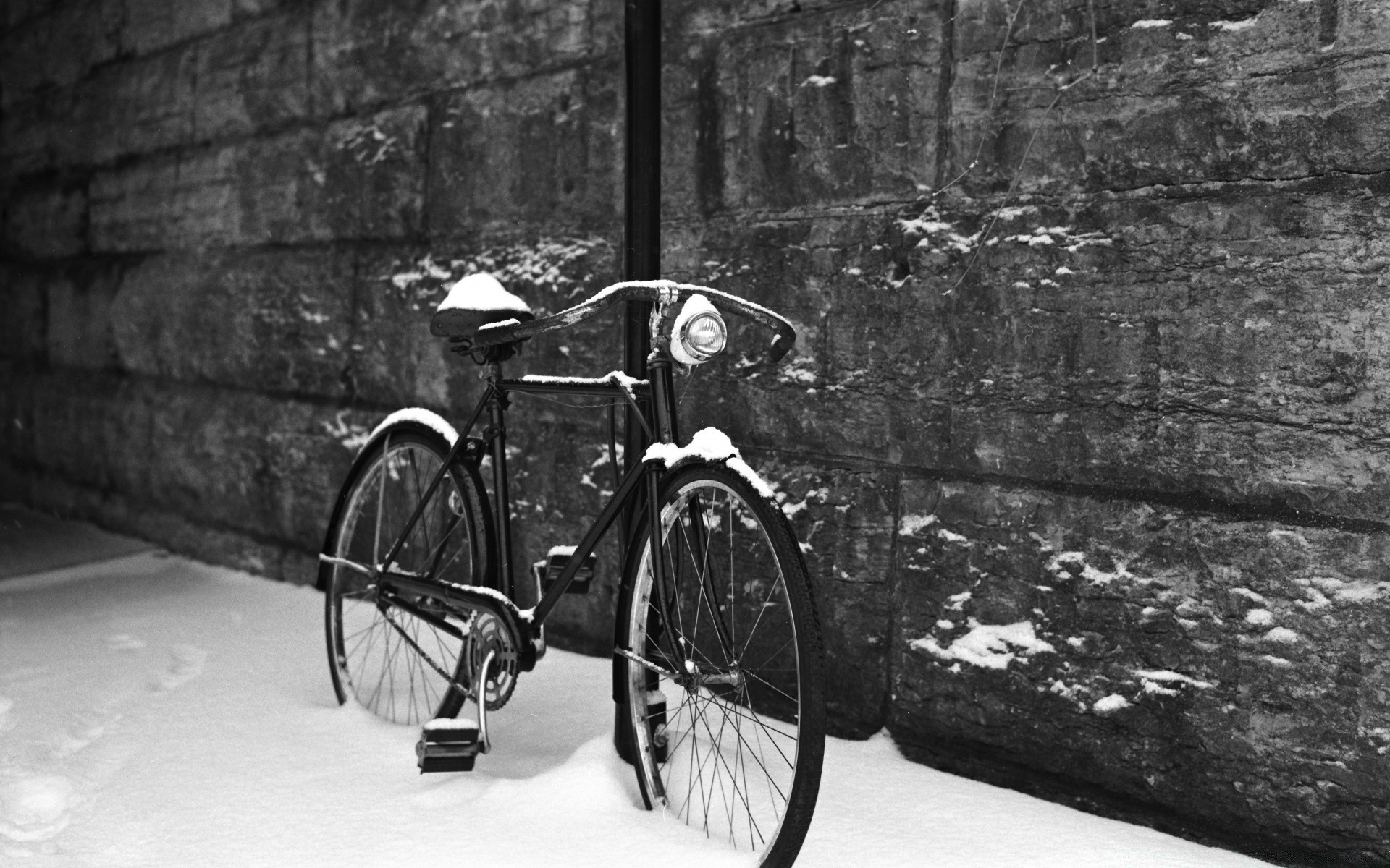 blanco y negro coche solo sistema de transporte ruedas adulto madera