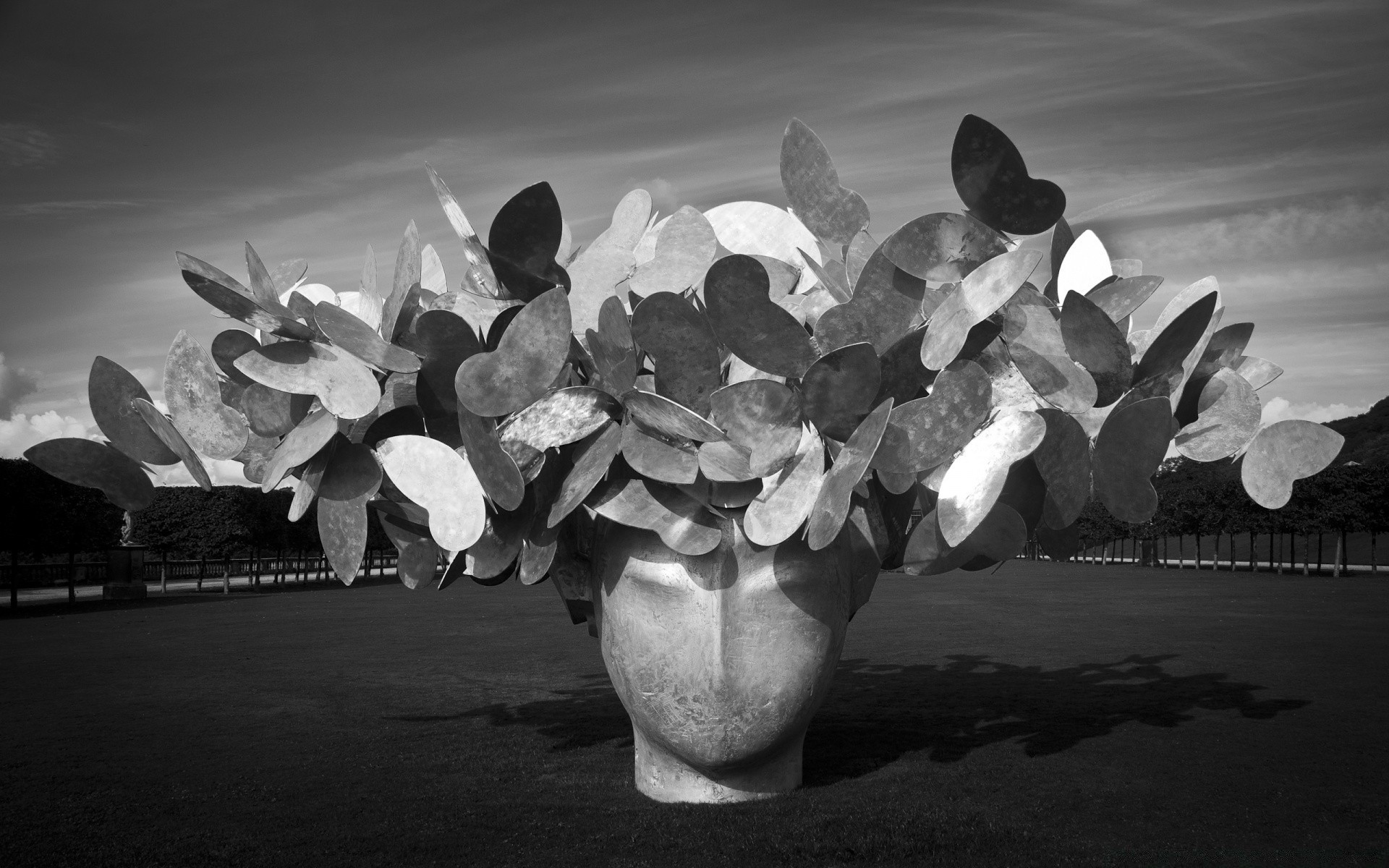 schwarz-weiß monochrom gruppe natur himmel kunst