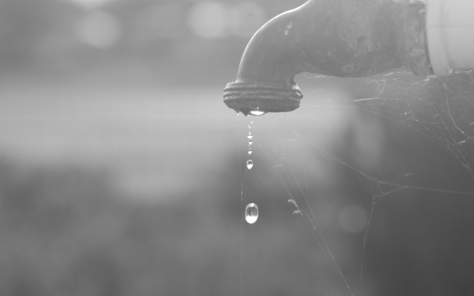 black and white water rain monochrome drop wet nature cold droplet blur reflection splash drip bubble liquid abstract winter