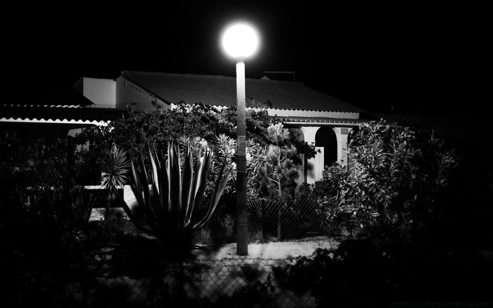 noir et blanc architecture monochrome à l extérieur lumière ville arbre voyage coucher de soleil rue eau sombre ciel jardin