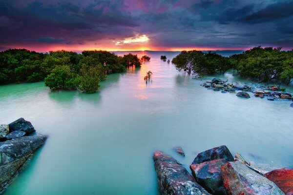 Paisaje con playa rocosa y superficie de agua