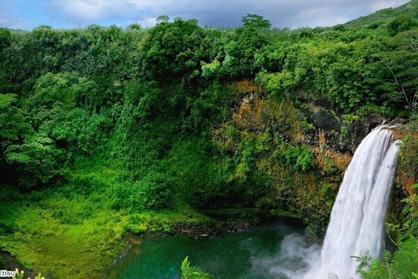 Paysage de cascade au milieu de la verdure