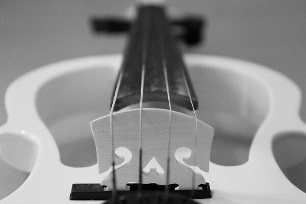 Guitarra Bodegón blanco y negro