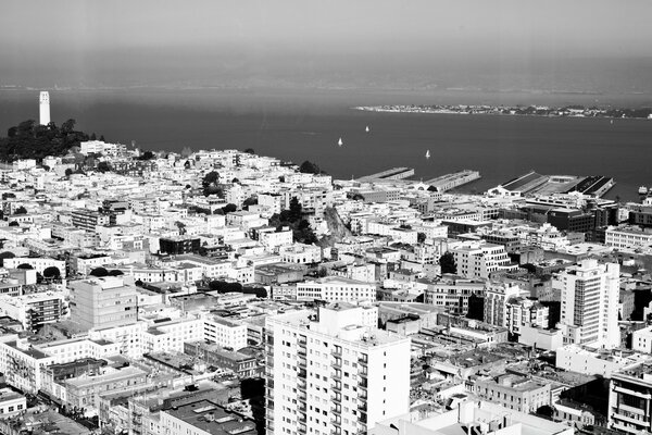 Urban landscape in black and white