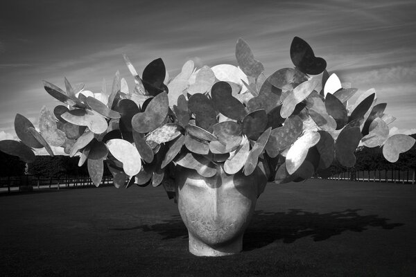 Naturaleza muerta filmada en monocromo