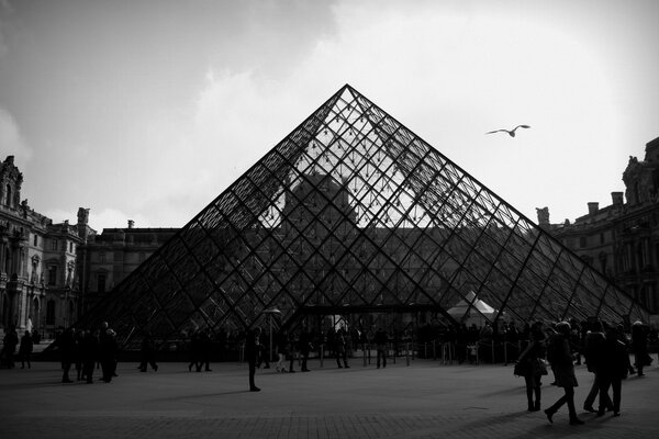 Black and white image of modern architecture