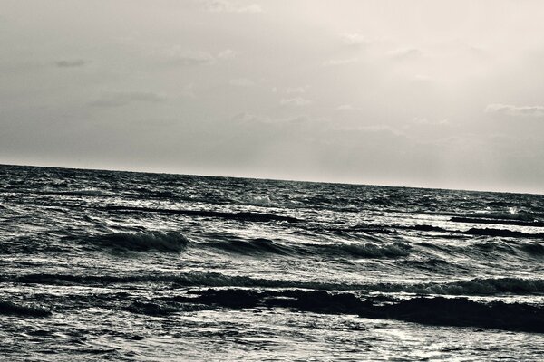 Olas del mar sobre fondo blanco y negro