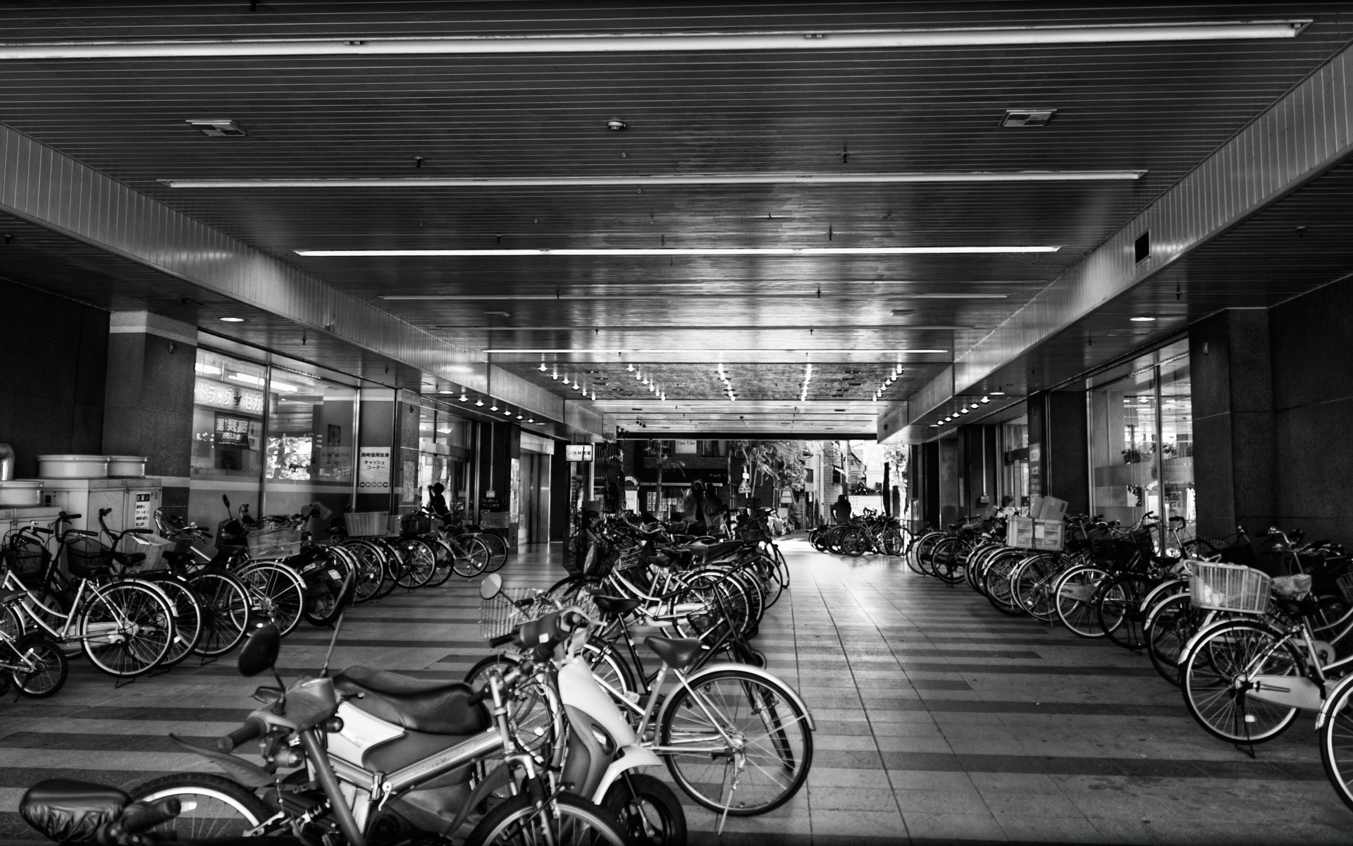 black and white bike street transportation system wheel monochrome vehicle city cyclist biker group