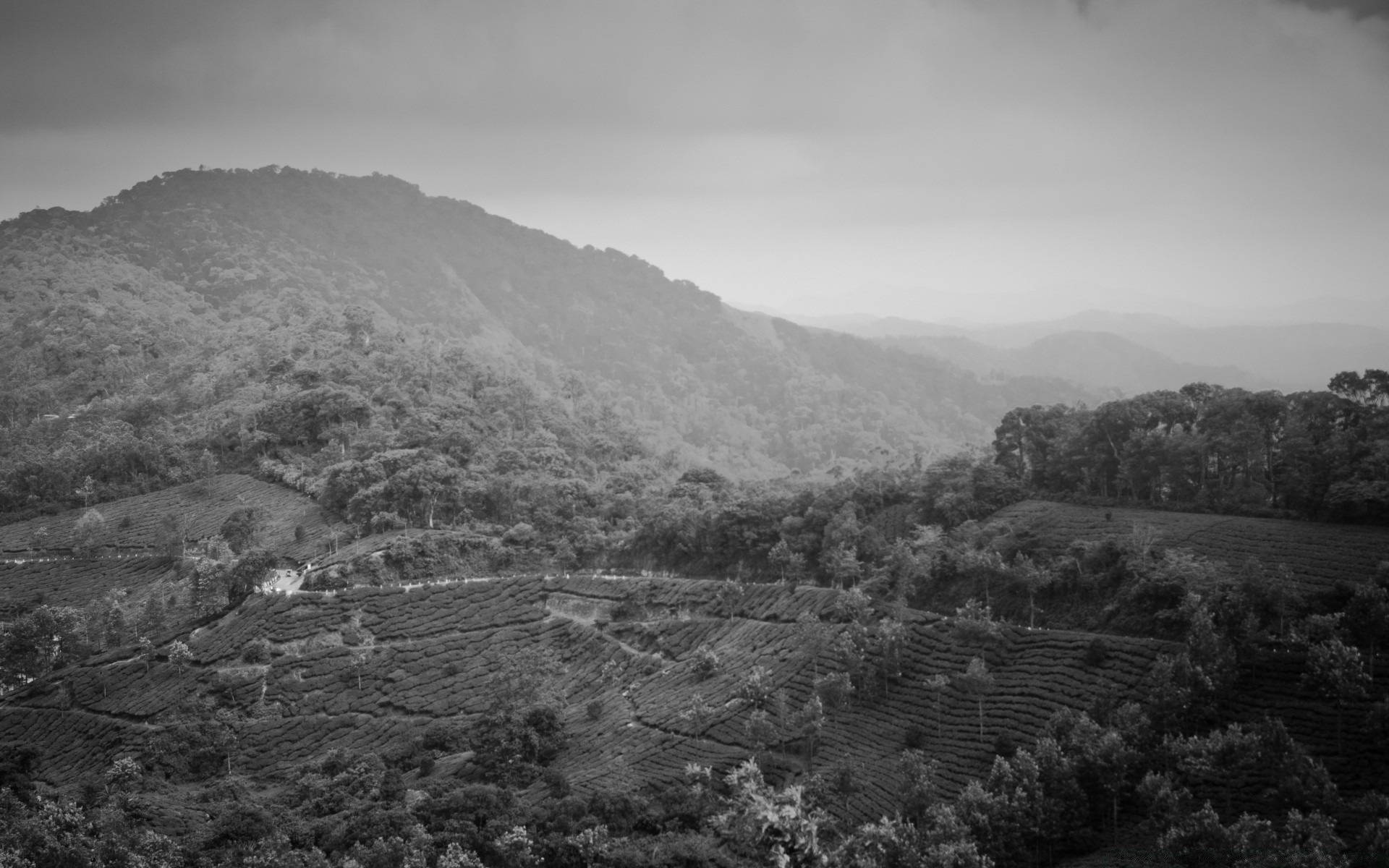 black and white landscape mountain hill tree cropland valley travel