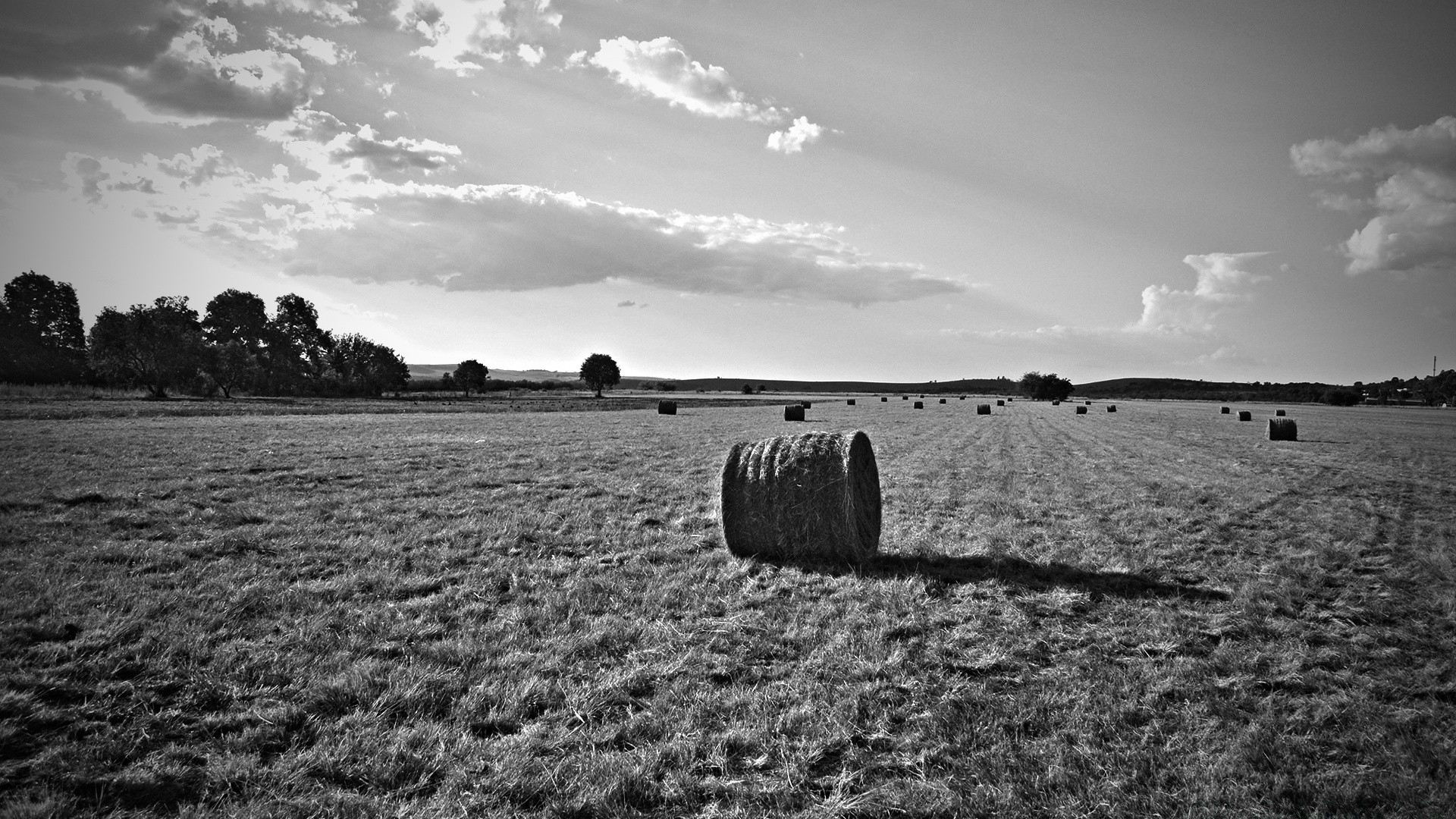 schwarz und weiß landschaft himmel feld bauernhof landwirtschaft natur des ländlichen im freien landschaft