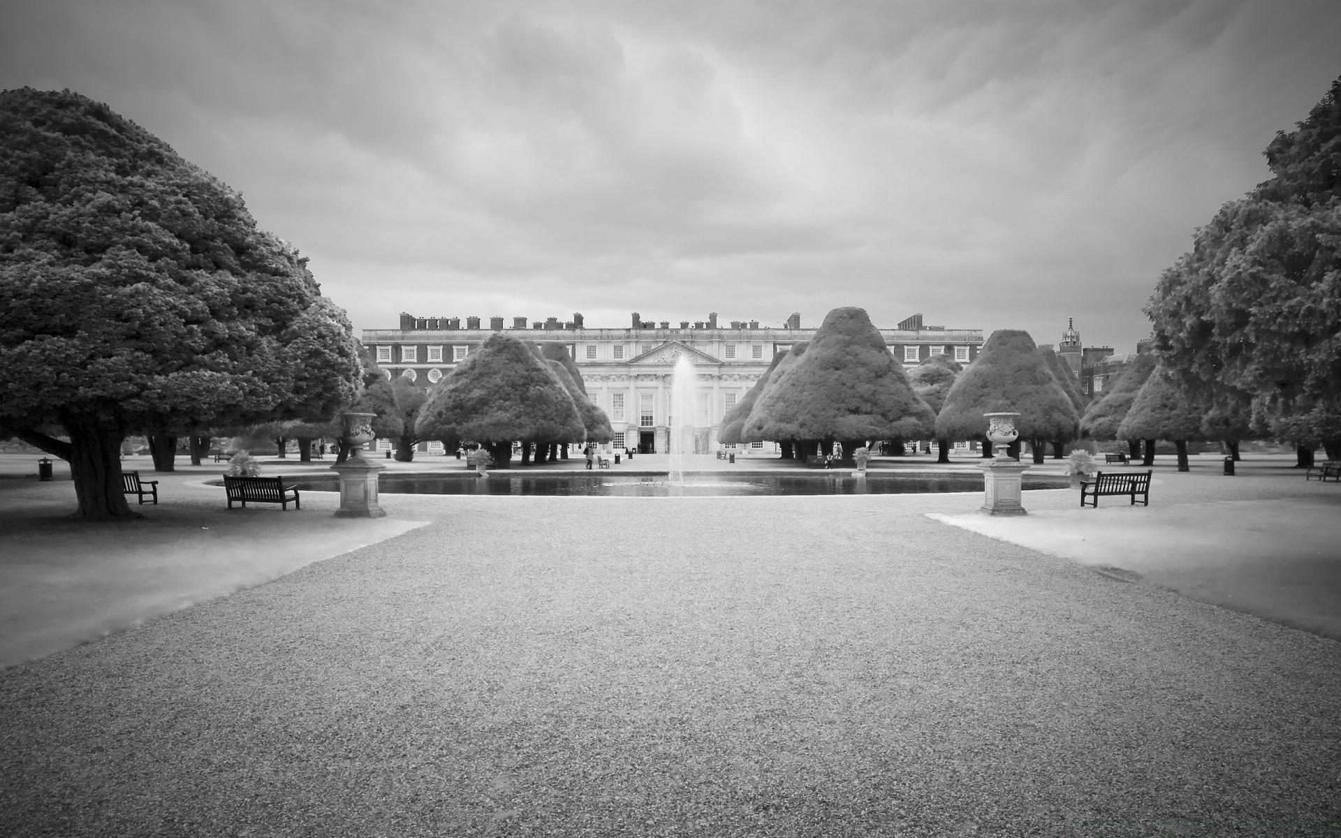 black and white tree monochrome architecture street home city