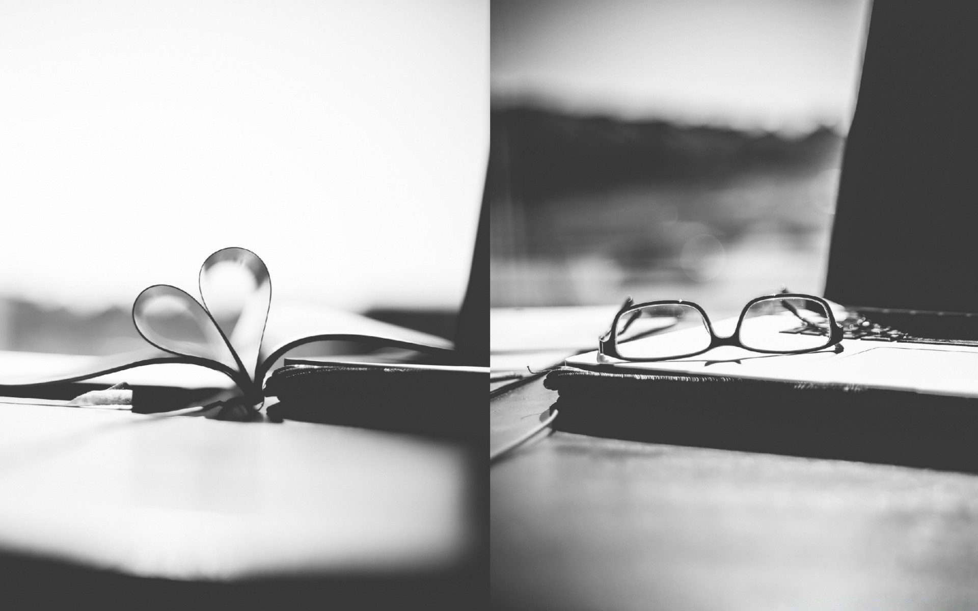 black and white wedding monochrome reflection splash desktop love book laptop literature drink wave