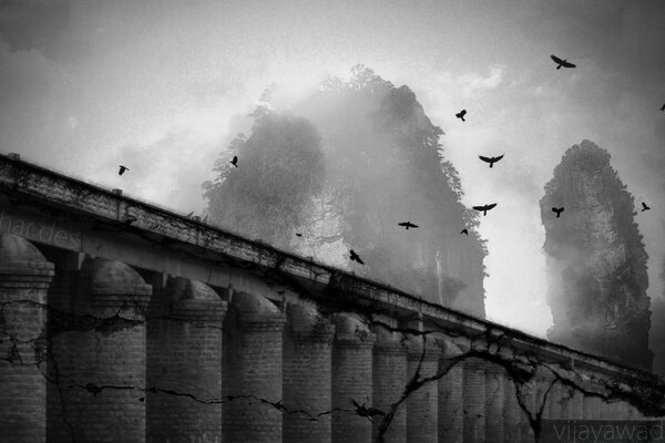 Fumée grise sur un mur gris