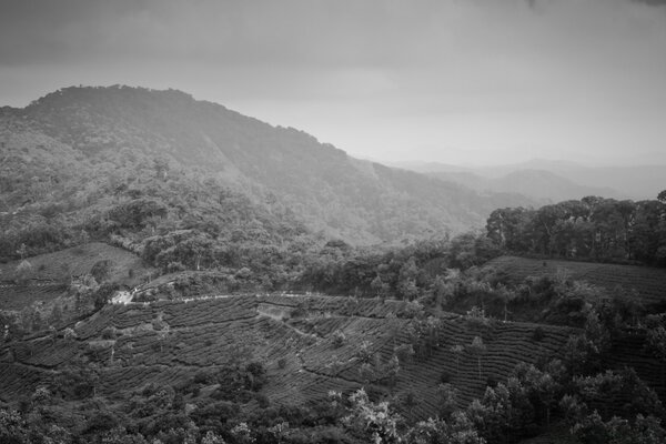 A beautiful hill in a misty haze