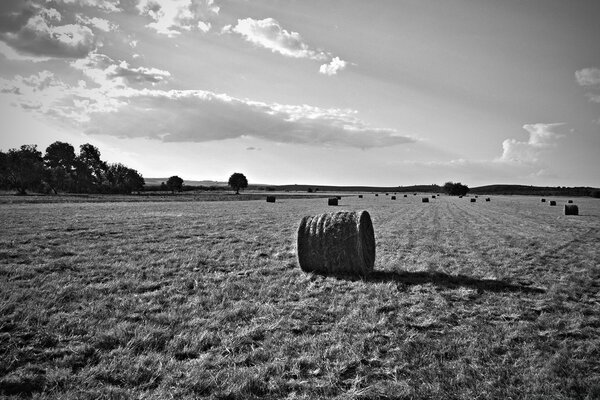 Ein einsamer Stapel in einem grenzenlosen Feld