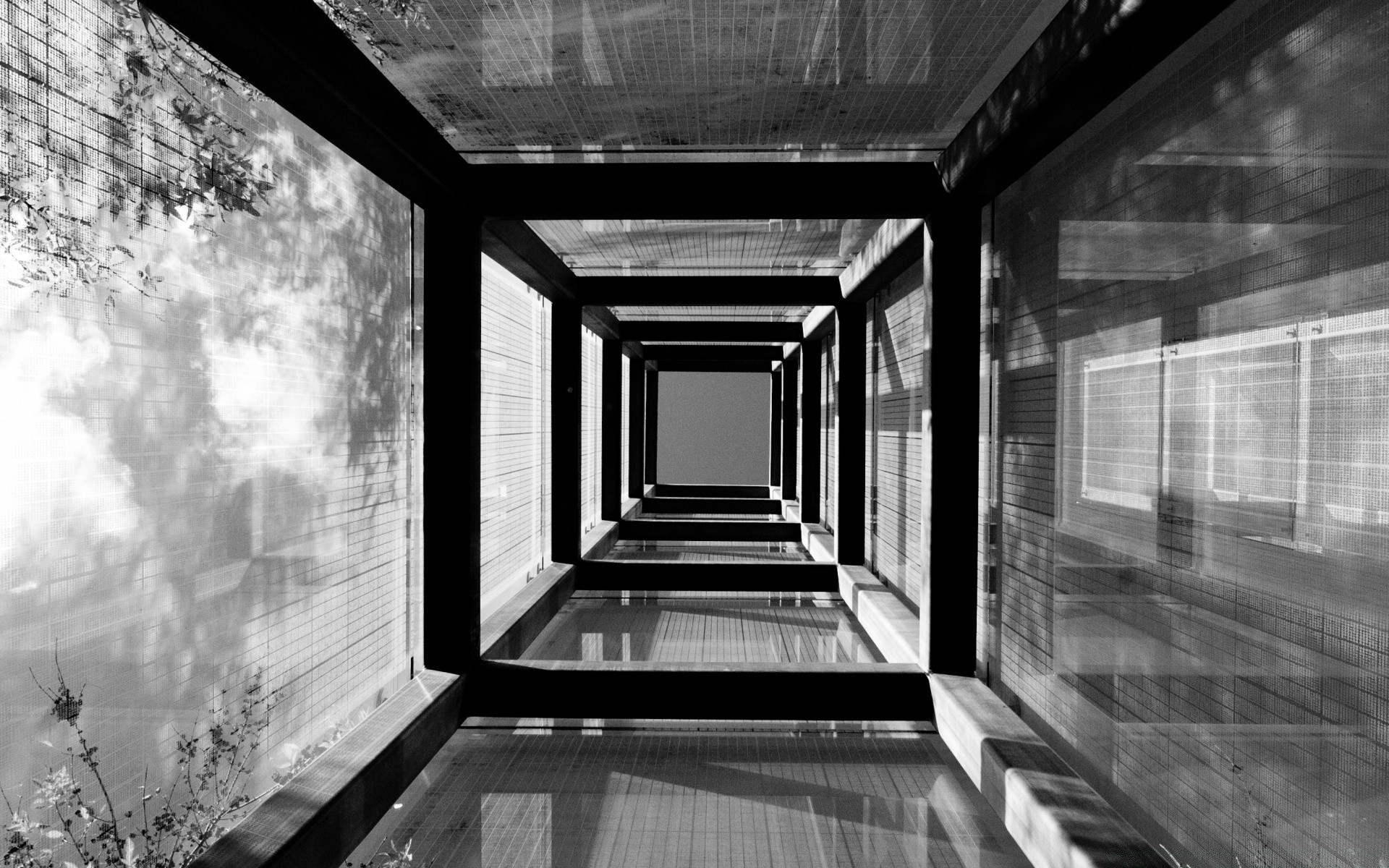 black and white window monochrome architecture abandoned empty indoors wall light tunnel inside glass building art old house dark vintage urban