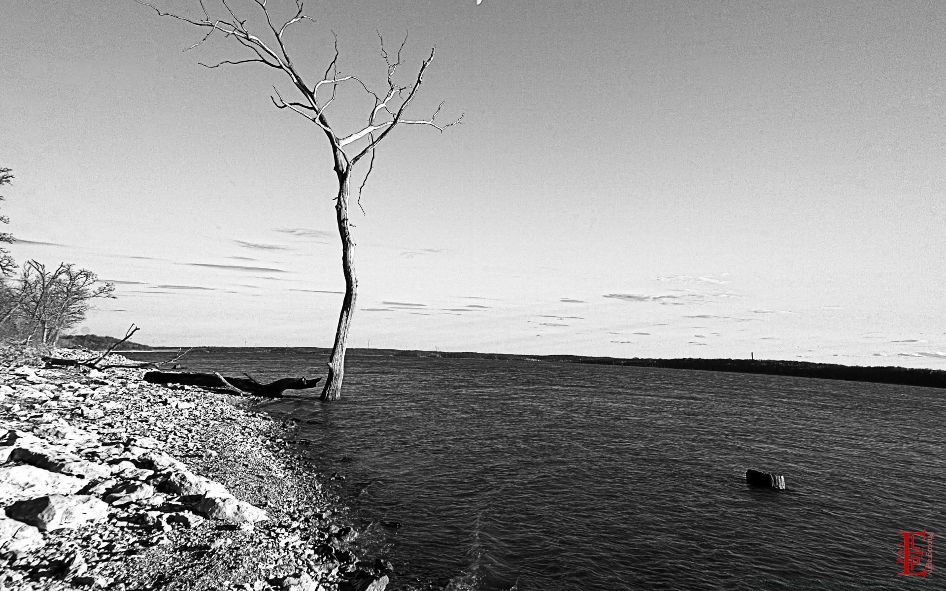 bianco e nero acqua monocromatico paesaggio spiaggia mare tramonto oceano inverno alba lago