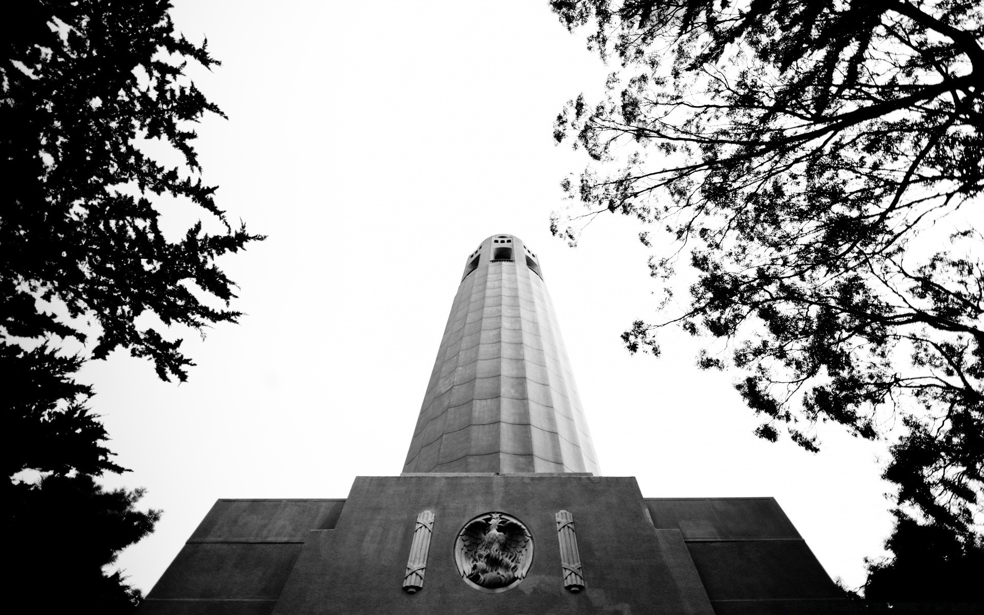 noir et blanc arbre architecture ciel à l extérieur maison ville parc