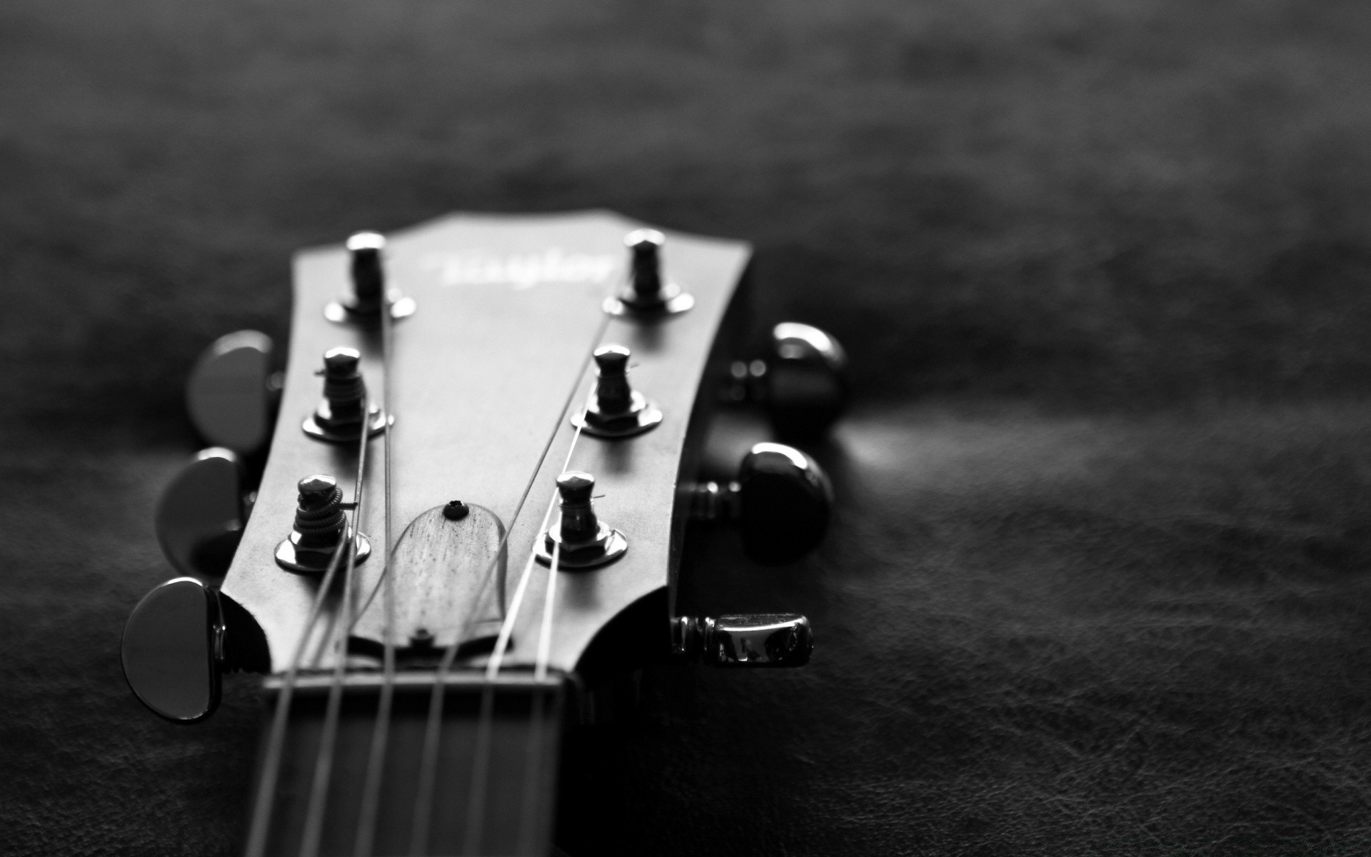 noir et blanc guitare instrument monochrome son instrument à cordes arc bois musique acoustique studio vintage jouer nature morte classique sombre basse jazz