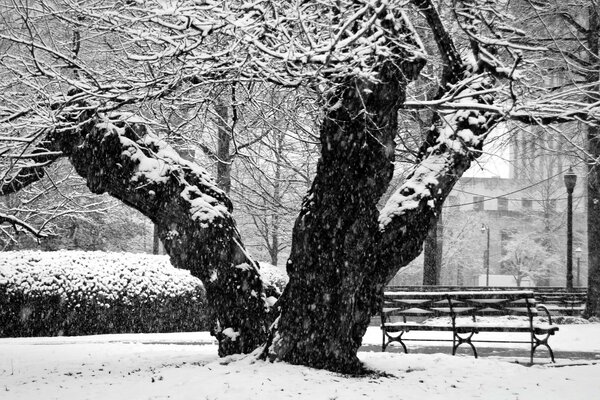 Winter cityscape with bench