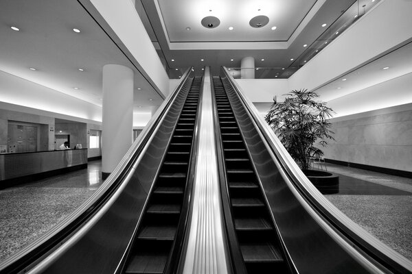 Escalera mecánica que conduce hacia arriba en efecto blanco y negro