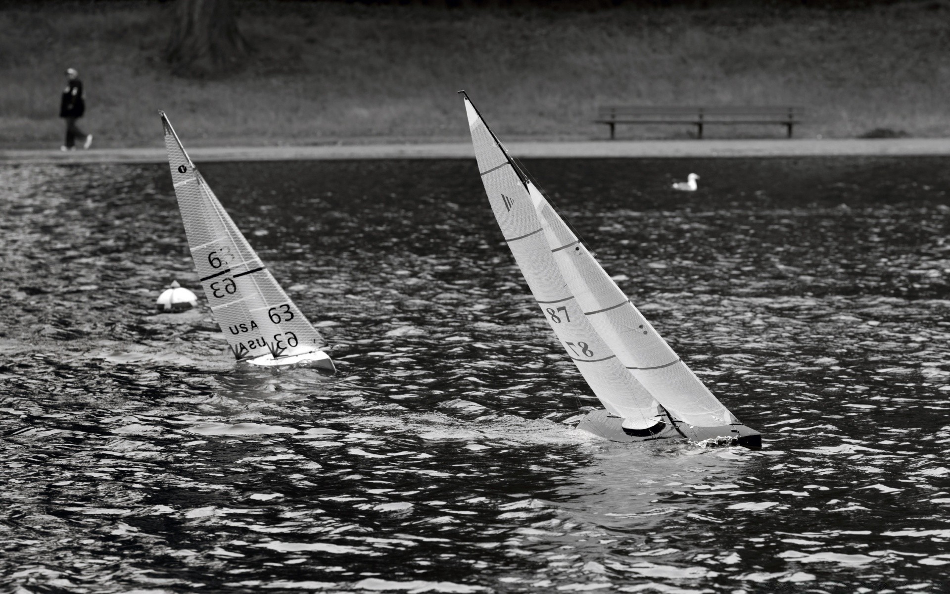 noir et blanc voiture système de transport bateau course eau sports nautiques avion loisirs