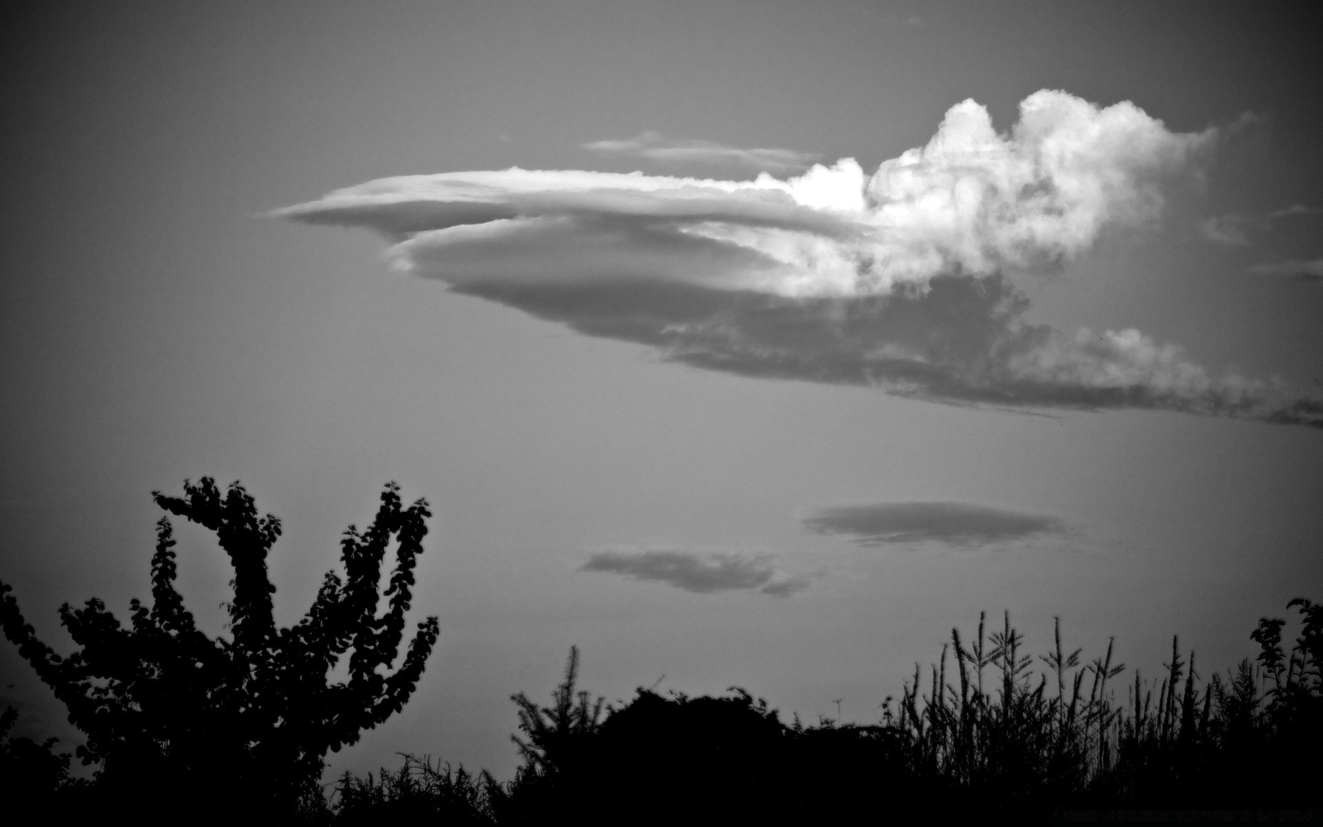 czarno-biały monochromatyczny natura niebo zachód słońca mgła świt na zewnątrz słońce krajobraz woda mgła drzewo podróż