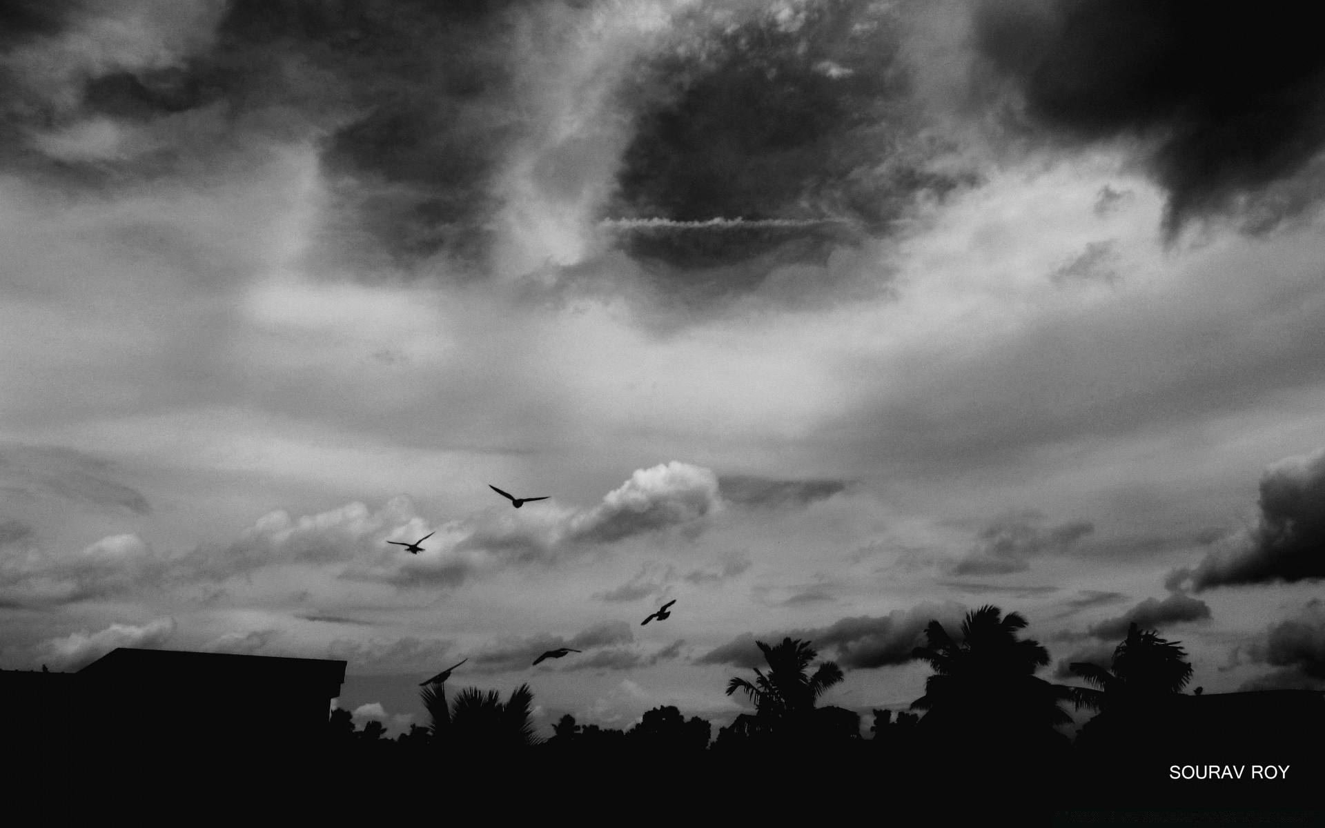 blanco y negro monocromo cielo tormenta paisaje puesta de sol lluvia tiempo naturaleza silueta sol dramático amanecer nube luz oscuro al aire libre tormenta niebla