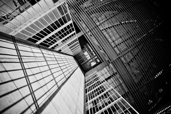 Black and white office architecture