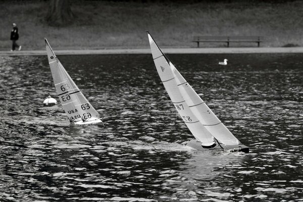 Windsurfing on a calm river