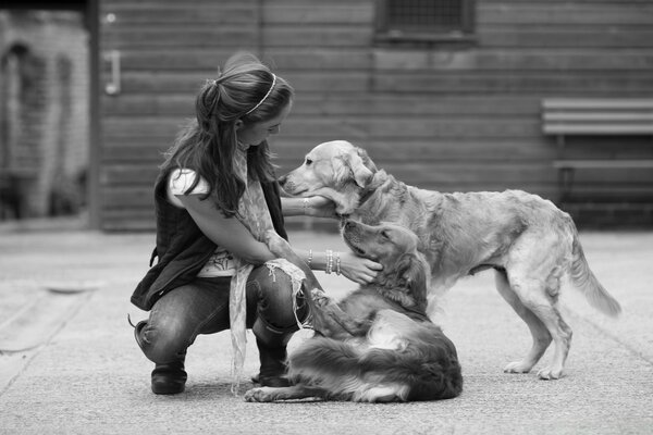 Black and white image of a dog handler with a dog