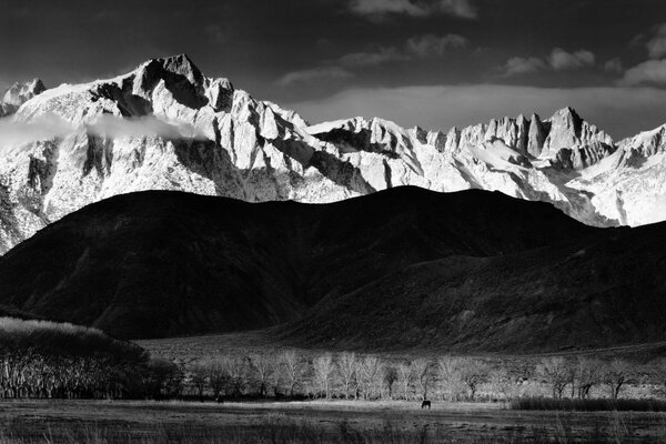 Horse, mountains, snow in monochrome