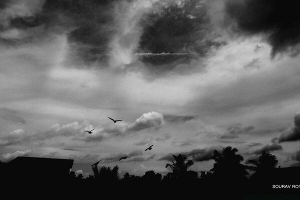 Imagen en blanco y negro del cielo con una tormenta