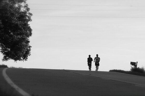 Black and white landscape road