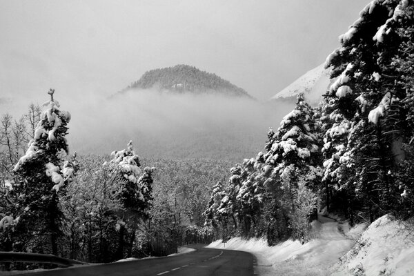 Black and white image of fog in winter