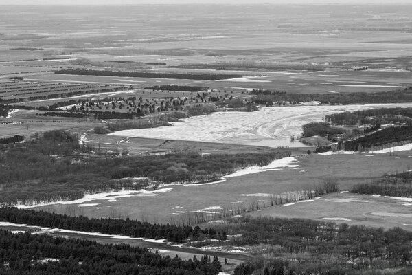 Foto en blanco y negro de la naturaleza con el bosque y el agua