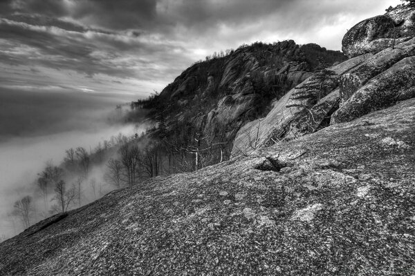 Foto panoramica del paesaggio delle montagne