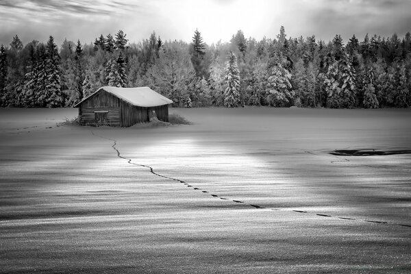 Paisaje blanco y negro de la cabaña