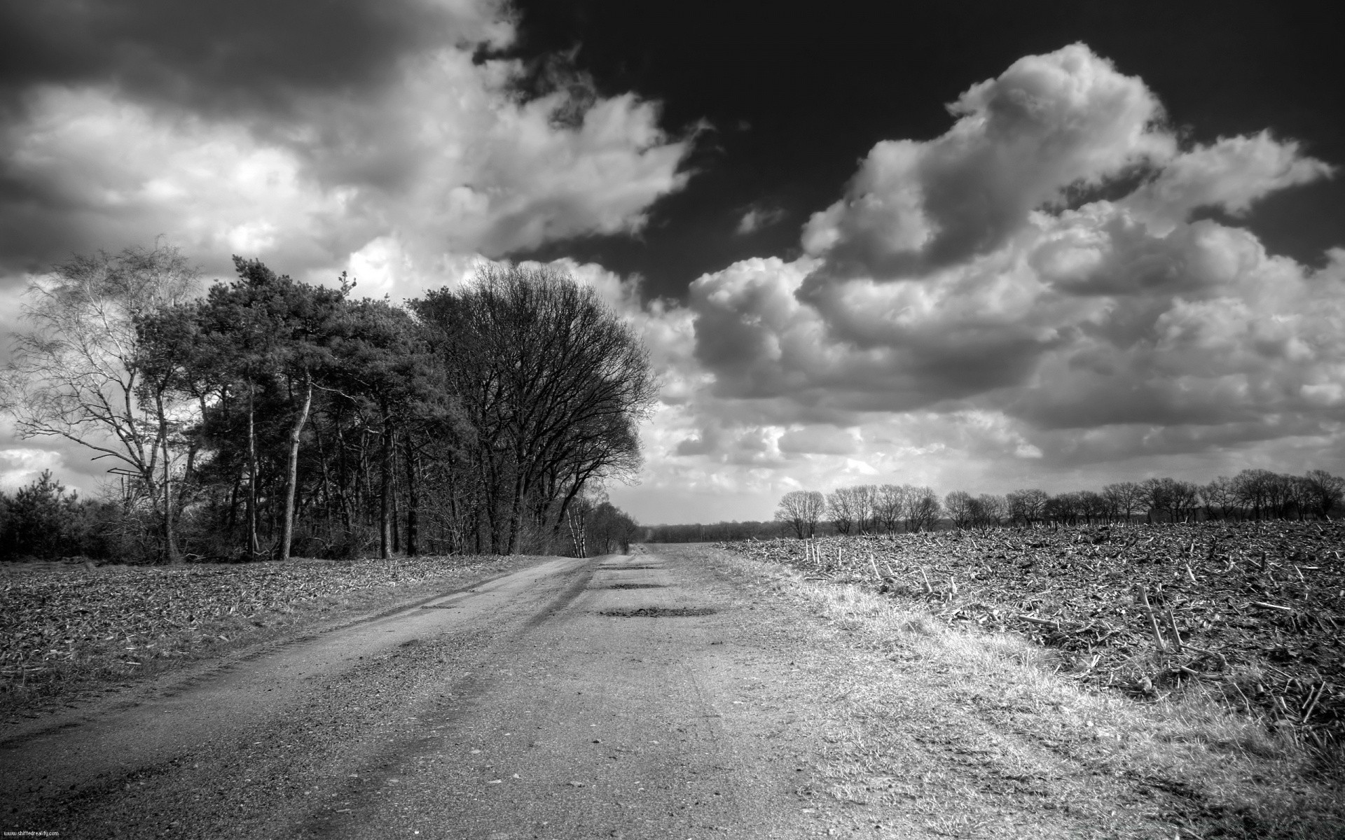 schwarz und weiß monochrom straße landschaft baum natur himmel straße führer sturm des ländlichen dunkel feld herbst wolke