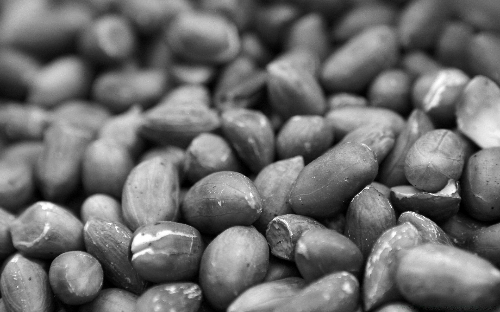 black and white food bean close-up desktop texture batch health nutrition seed vegetable pile dry close healthy many legume agriculture nature