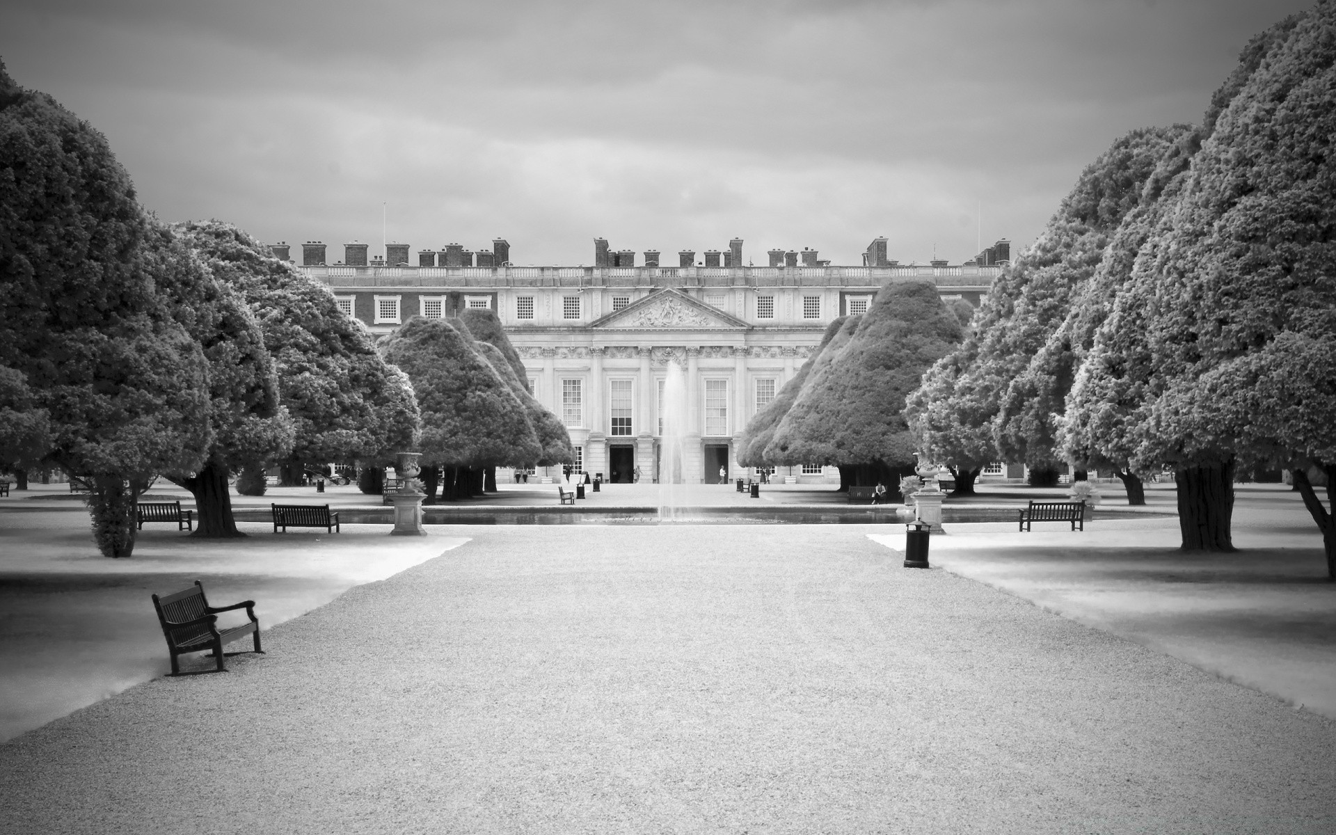 black and white tree street travel park architecture city monochrome road