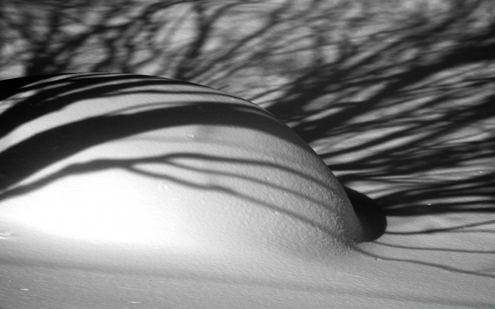 black and white monochrome blur abstract art reflection still life texture light water motion shadow nature