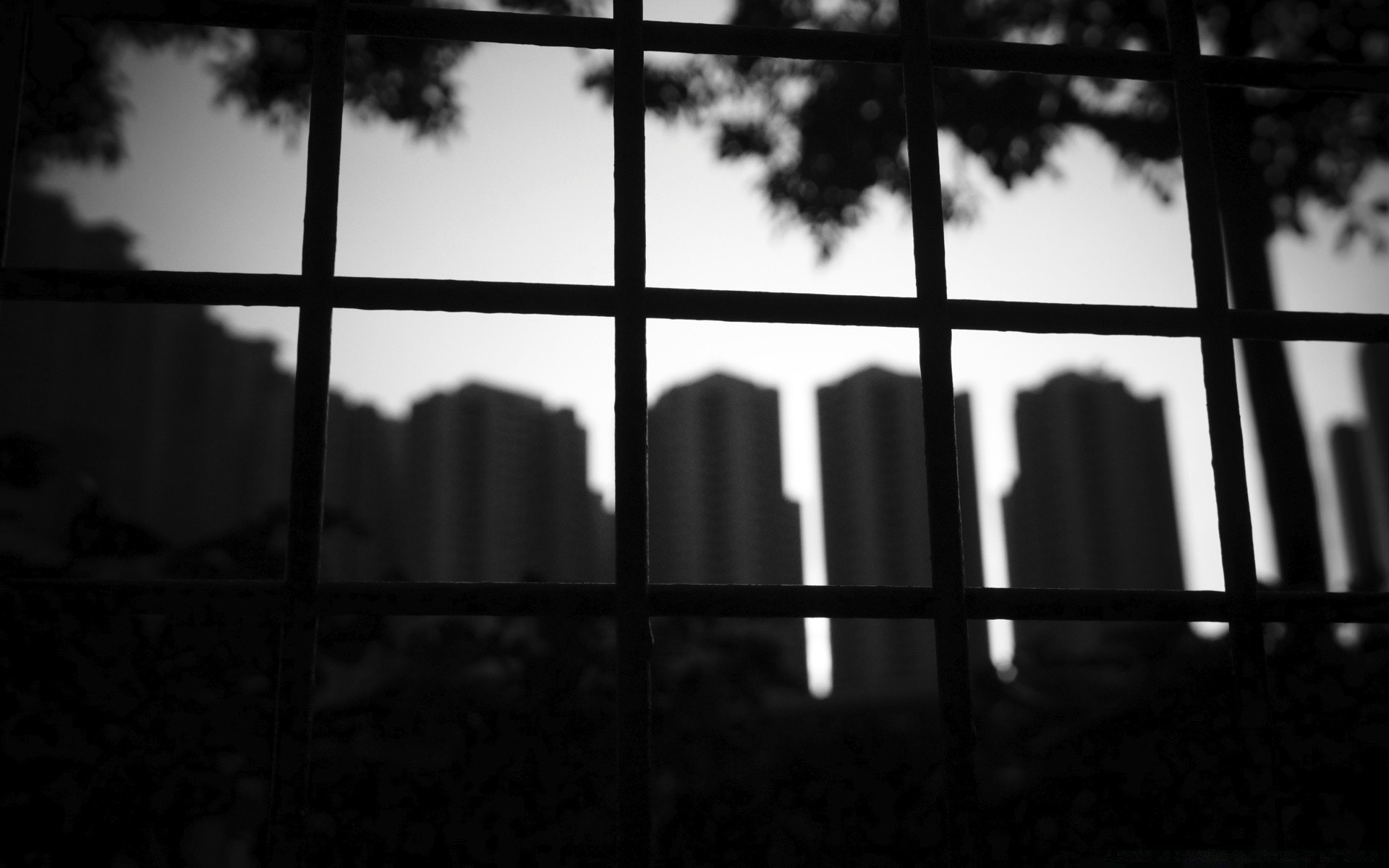 black and white window backlit shadow monochrome light silhouette reflection dark architecture travel