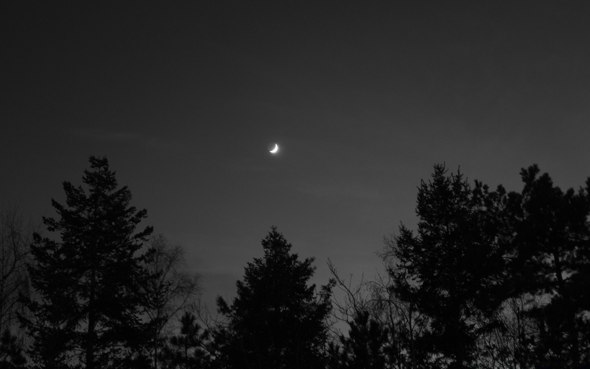 noir et blanc lune hiver arbre nature brouillard sombre ciel monochrome soleil neige silhouette coucher de soleil aube à l extérieur paysage crépuscule bois brouillard soir