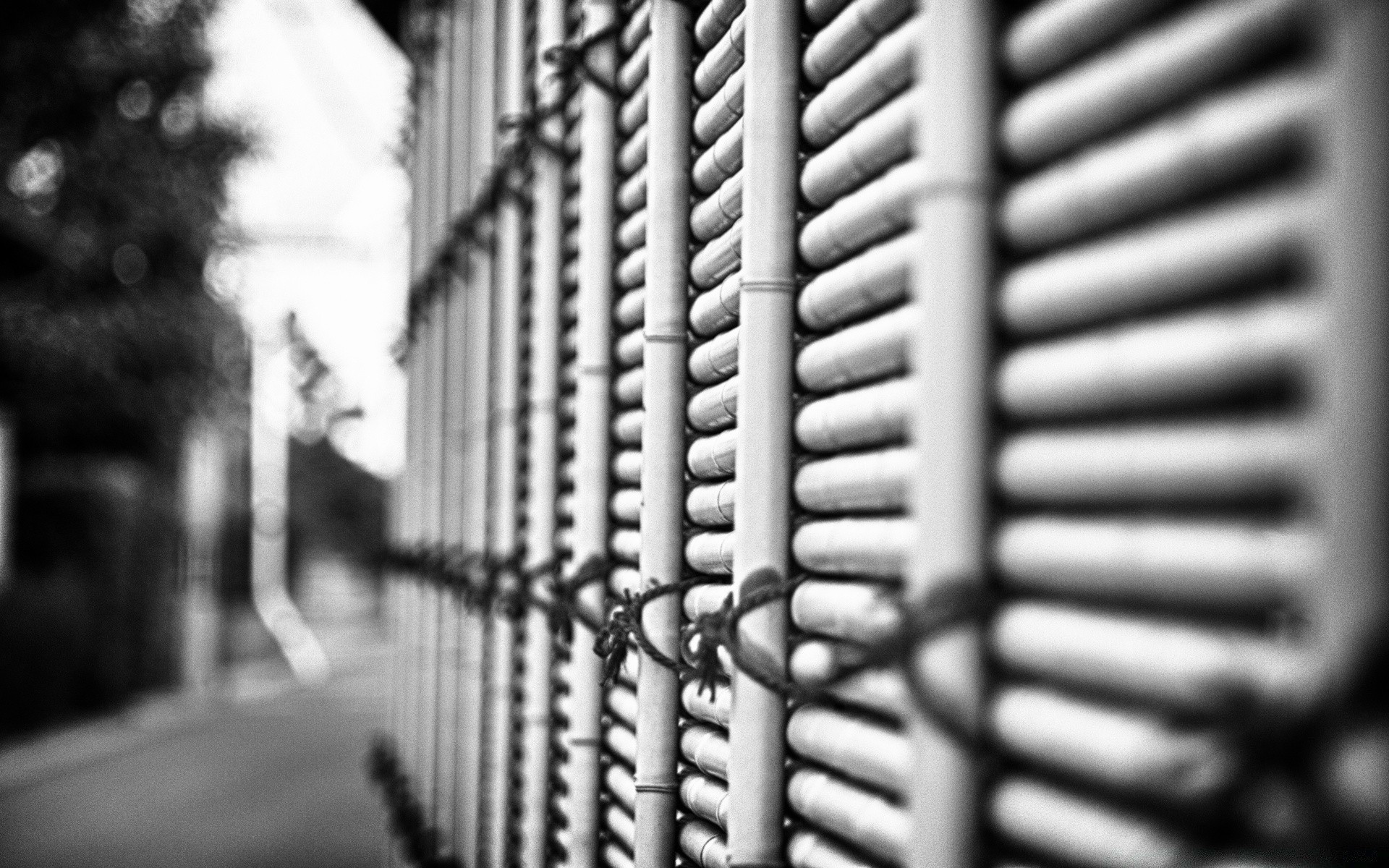 blanco y negro arquitectura ciudad calle al aire libre seguridad urbano casa ventanas alambres monocromo negocio viejo viajes cerca vidrio