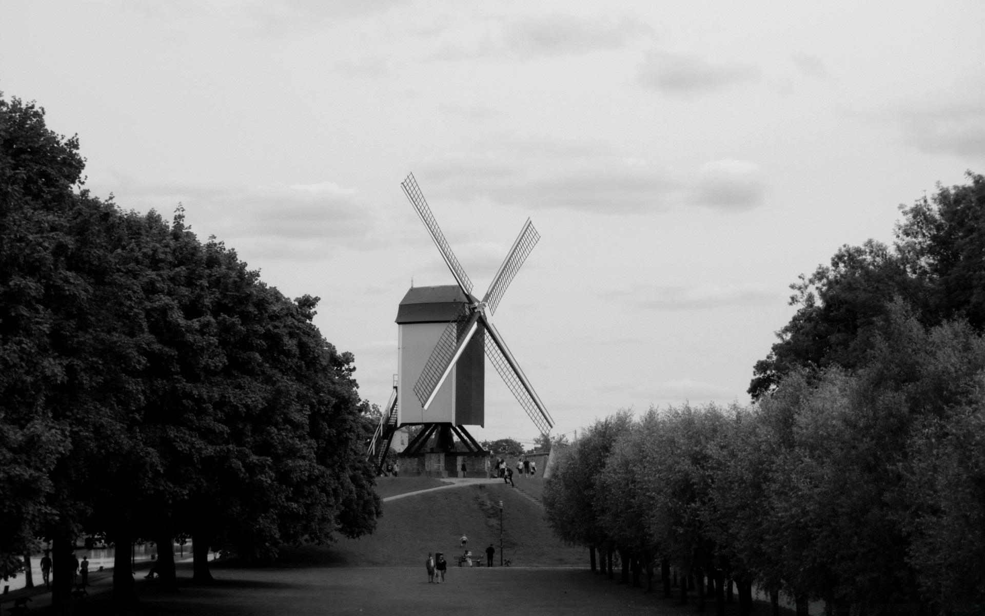 black and white windmill wind tree landscape outdoors environment sky grinder nature energy one